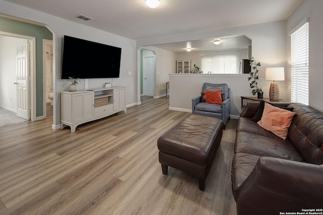 11907 Pure Silver, San Antonio, TX 78254 - living room featuring light wood finished floors and baseboards