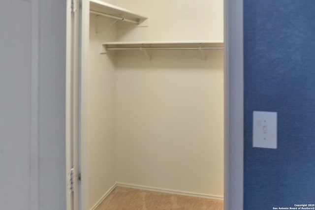 7527 Escada Crst, San Antonio, TX 78254 - walk in closet featuring light colored carpet