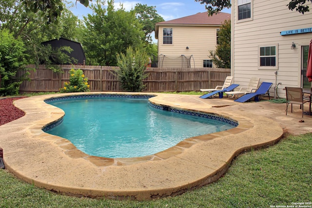 7527 Escada Crst, San Antonio, TX 78254 - view of pool featuring a patio area