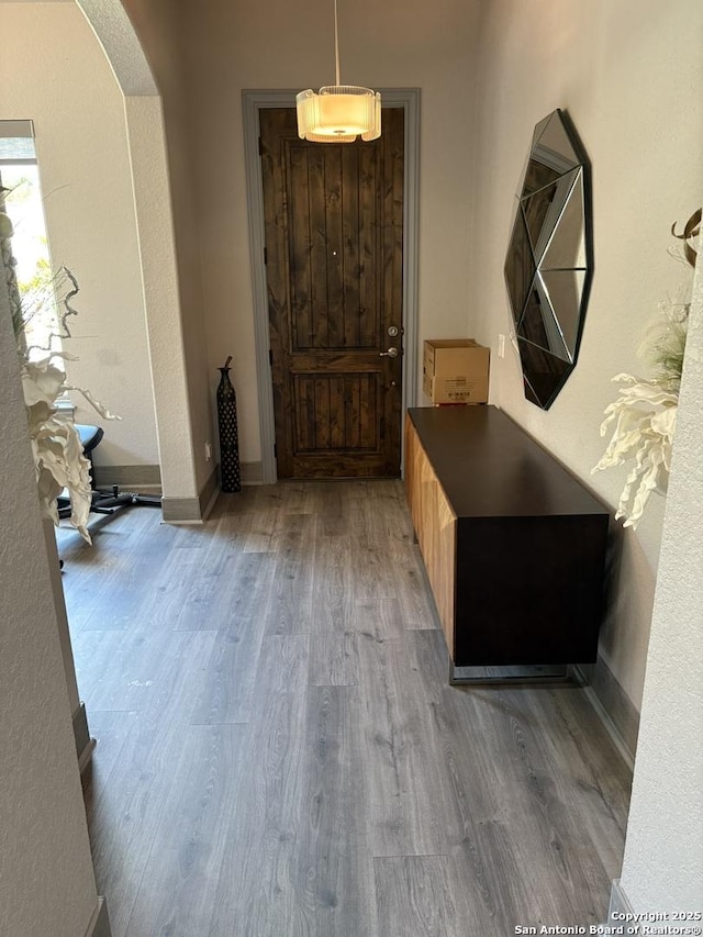 636 Carriage House # 30, Spring Branch, TX 78070 - entryway featuring arched walkways, wood finished floors, and baseboards