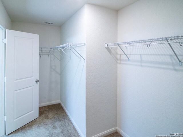 13514 Flower Pond, Saint Hedwig, TX 78152 - spacious closet with carpet