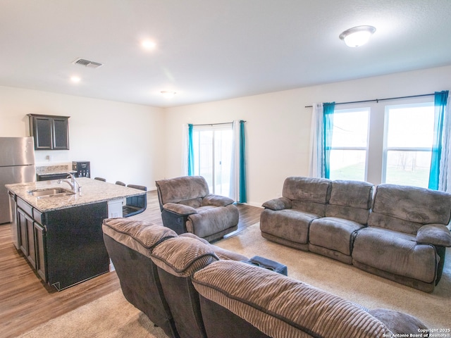 13514 Flower Pond, Saint Hedwig, TX 78152 - living area with light wood finished floors