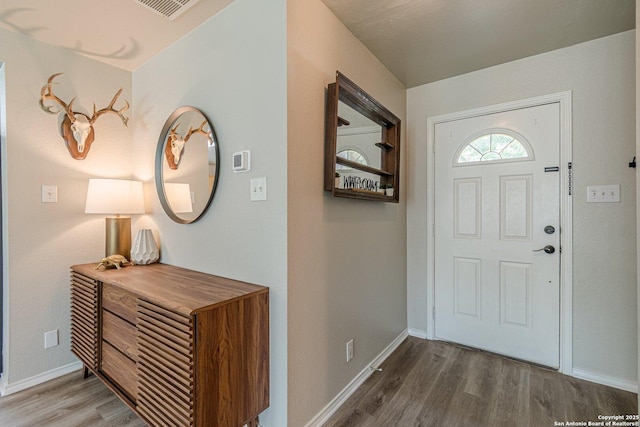 609 San Augustine, New Braunfels, TX 78132 - foyer entrance with wood finished floors and baseboards