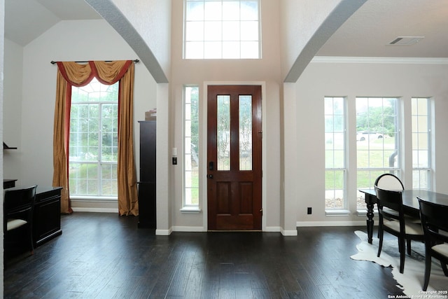 1818 Palmer Vw, San Antonio, TX 78260 - foyer entrance featuring arched walkways, dark wood-type flooring, baseboards, healthy amount of natural light, and crown molding