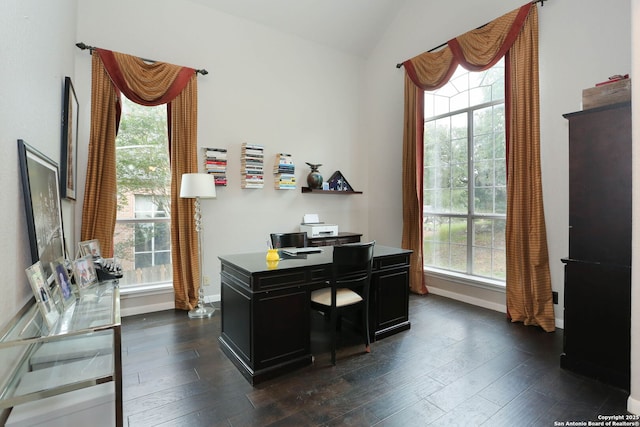 1818 Palmer Vw, San Antonio, TX 78260 - office space featuring dark wood-type flooring, baseboards, and lofted ceiling