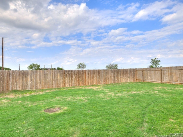 2325 Lighthouse, New Braunfels, TX 78130 - view of yard