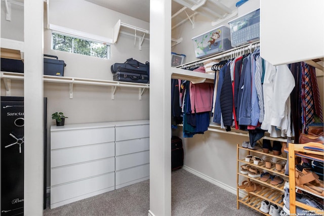 21910 Barton Woods, San Antonio, TX 78259 - spacious closet featuring carpet floors