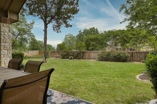 9718 Rosemire Way, San Antonio, TX 78254 - view of yard