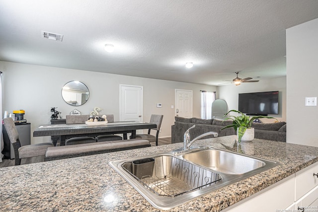 8411 Terlingua Cv, Converse, TX 78109 - kitchen featuring a sink, ceiling fan, open floor plan, and stone counters