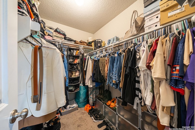8411 Terlingua Cv, Converse, TX 78109 - spacious closet featuring carpet