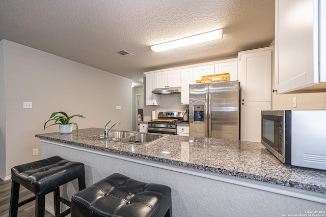 8411 Terlingua Cv, Converse, TX 78109 - kitchen with stainless steel appliances, under cabinet range hood, white cabinets, a breakfast bar, and a sink
