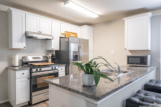 8411 Terlingua Cv, Converse, TX 78109 - kitchen with stainless steel appliances, under cabinet range hood, a sink, a peninsula, and wood finished floors