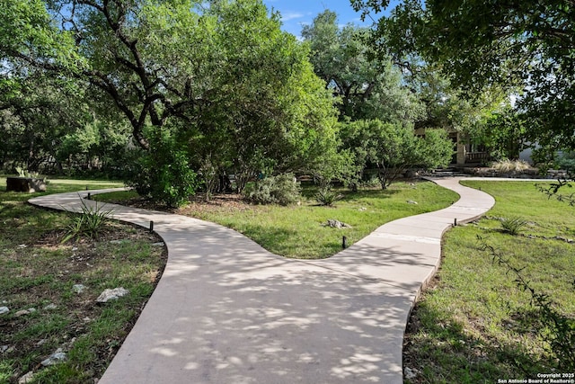 195 Desert Flower, Spring Branch, TX 78070 - view of home's community with a lawn and view of wooded area