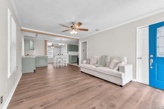 239 Banbridge, San Antonio, TX 78223 - living area featuring ceiling fan, light wood finished floors, a textured ceiling, ornamental molding, and baseboards