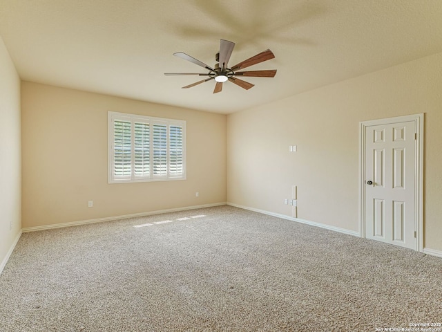 726 Aucuba Fls, San Antonio, TX 78260