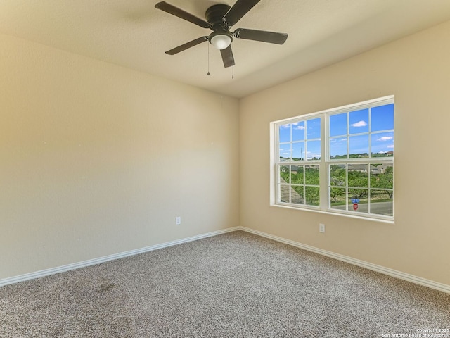 726 Aucuba Fls, San Antonio, TX 78260