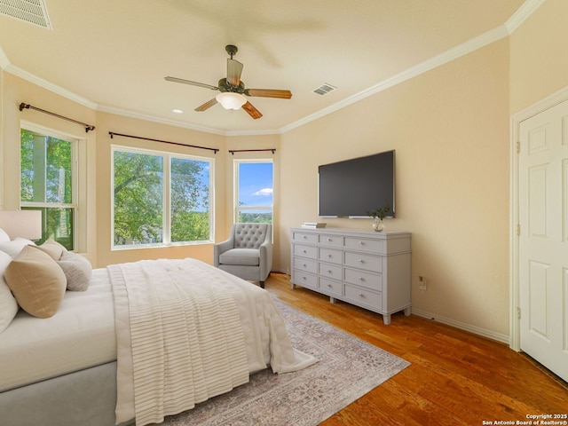 726 Aucuba Fls, San Antonio, TX 78260