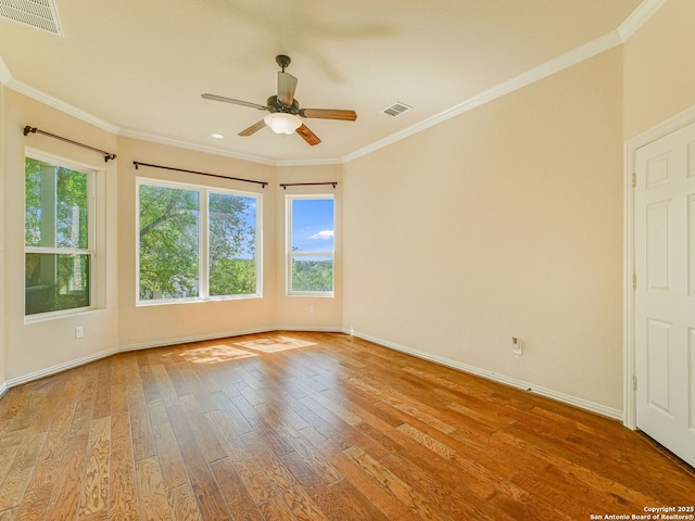 726 Aucuba Fls, San Antonio, TX 78260