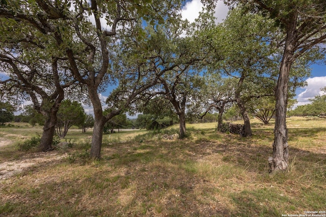 122 Twisting Oaks Ct, Pipe Creek, TX 78063 - view of yard