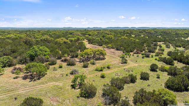 TBD Gipson Rd, Johnson City, TX 78636