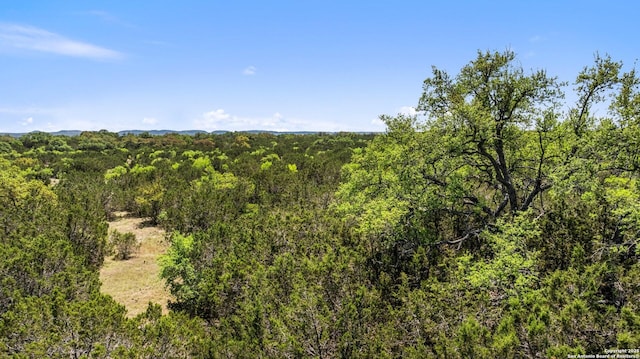 TBD Gipson Rd, Johnson City, TX 78636