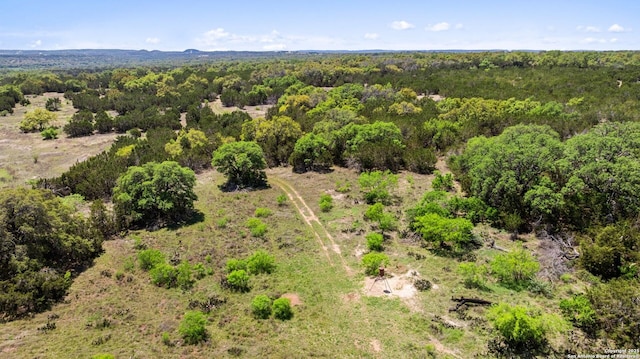 TBD Gipson Rd, Johnson City, TX 78636