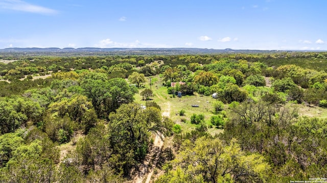 TBD Gipson Rd, Johnson City, TX 78636