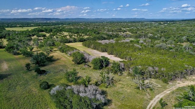 1205 Elm Crk, Medina, TX 78003