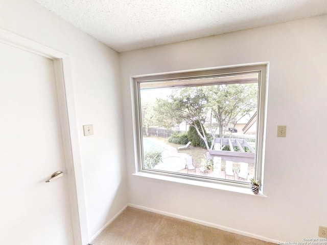 16930 Hidden Timber Wood, San Antonio, TX 78248 - spare room featuring light colored carpet, healthy amount of natural light, baseboards, and a textured ceiling