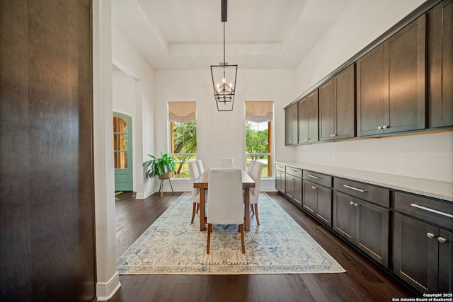117 Sabella, Spring Branch, TX 78070 - dining space featuring a tray ceiling, dark wood-style flooring, a chandelier, and a high ceiling