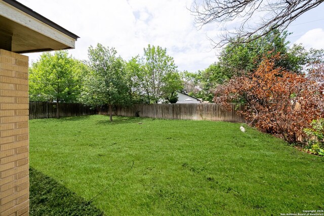 435 Sharon, San Antonio, TX 78216 - view of yard