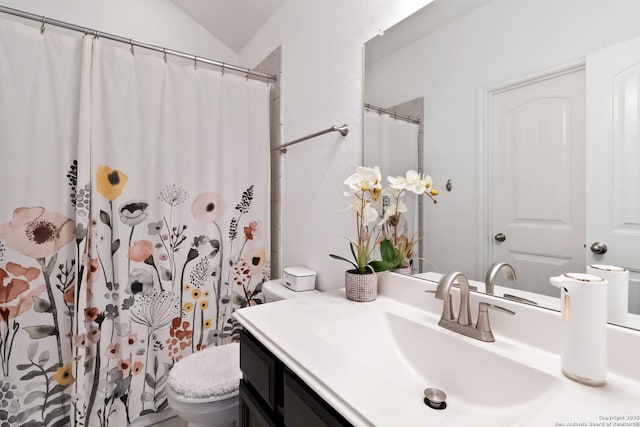 13917 Westbury Fls, San Antonio, TX 78253 - bathroom featuring toilet, vanity, and a shower with curtain