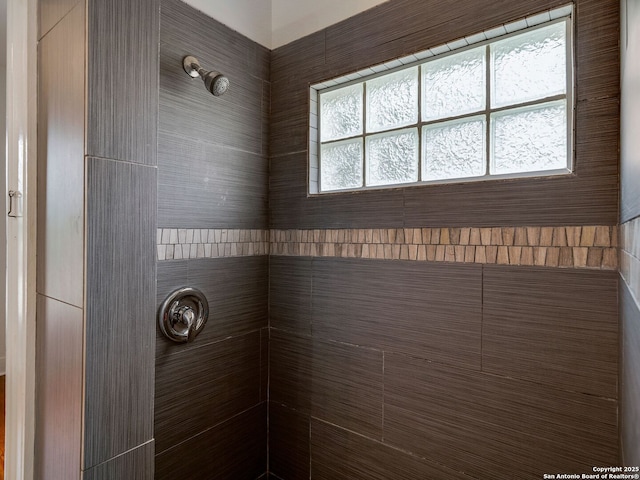 1211 W Magnolia Ave, San Antonio, TX 78201 - bathroom view of a tile shower