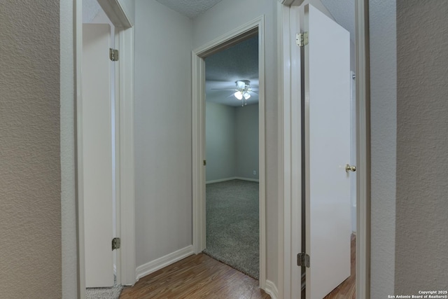 5711 Timberhurst, San Antonio, TX 78250 - hall featuring wood finished floors and a textured wall
