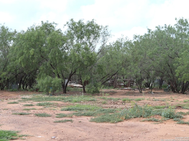111 County Road 2660, Devine, TX 78016