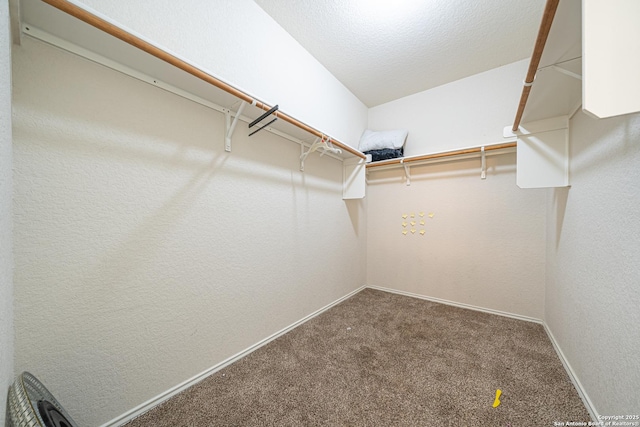 10736 Gemsbuck Ldg, San Antonio, TX 78245 - spacious closet featuring carpet