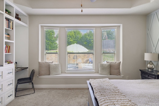 25723 Coreopsis, San Antonio, TX 78261 - bedroom featuring carpet, baseboards, and multiple windows