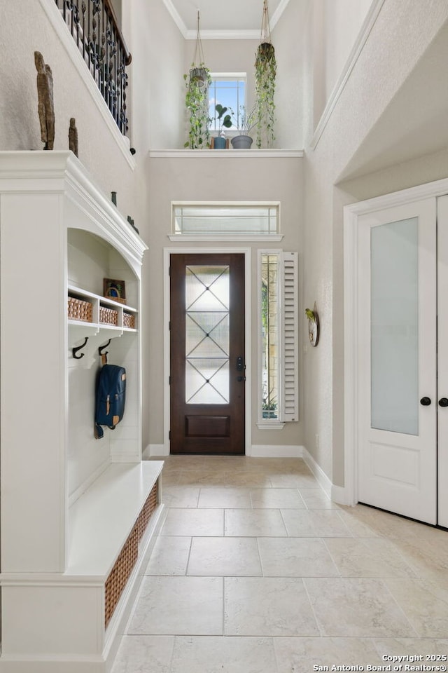25723 Coreopsis, San Antonio, TX 78261 - entrance foyer featuring baseboards, ornamental molding, and a high ceiling