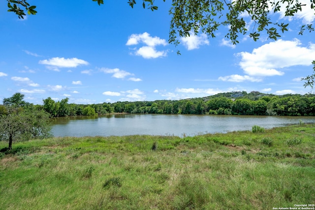 1014 Windy Pond, San Antonio, TX 78260 - water view featuring a heavily wooded area