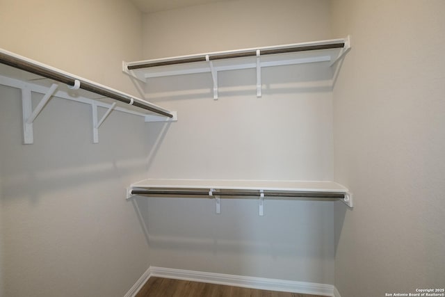 10310 Tule Creek Frk, San Antonio, TX 78252 - walk in closet with dark wood finished floors
