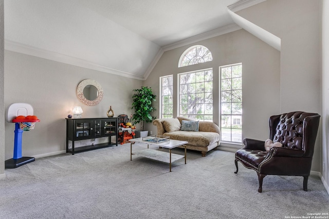13019 Rambling Oak, San Antonio, TX 78232 - carpeted living room featuring lofted ceiling, ornamental molding, and baseboards