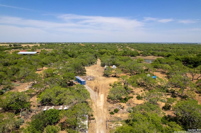 8608 S Foster Rd, San Antonio, TX 78222 - aerial view of a forest
