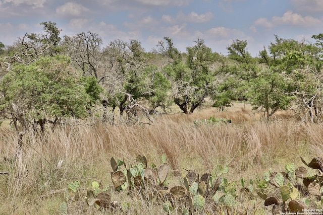 25 Dallas Josie Rd, Harper, TX 78631