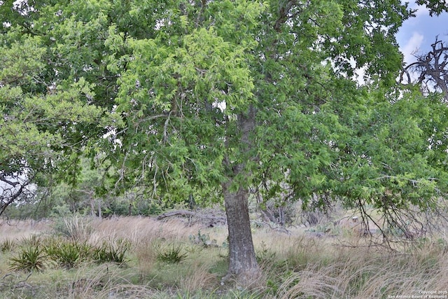 25 Dallas Josie Rd, Harper, TX 78631