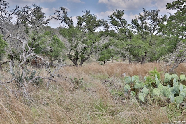 25 Dallas Josie Rd, Harper, TX 78631