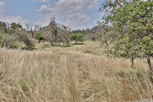 25 Dallas Josie Rd, Harper, TX 78631