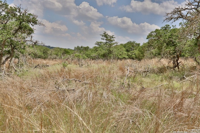 25 Dallas Josie Rd, Harper, TX 78631