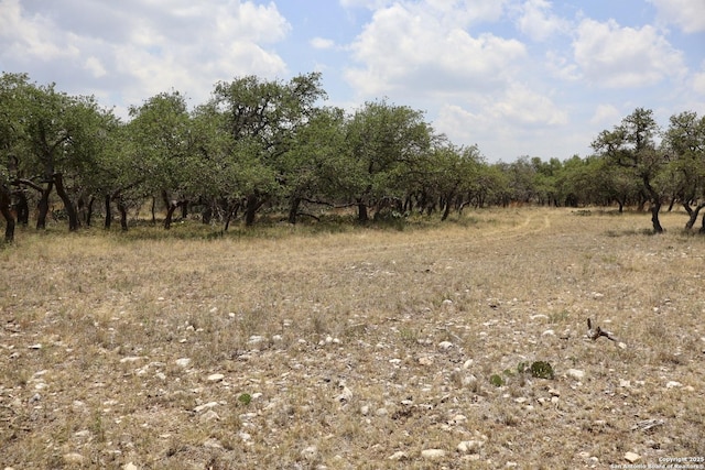 25 Dallas Josie Rd, Harper, TX 78631