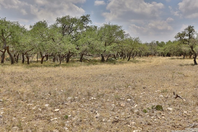25 Dallas Josie Rd, Harper, TX 78631
