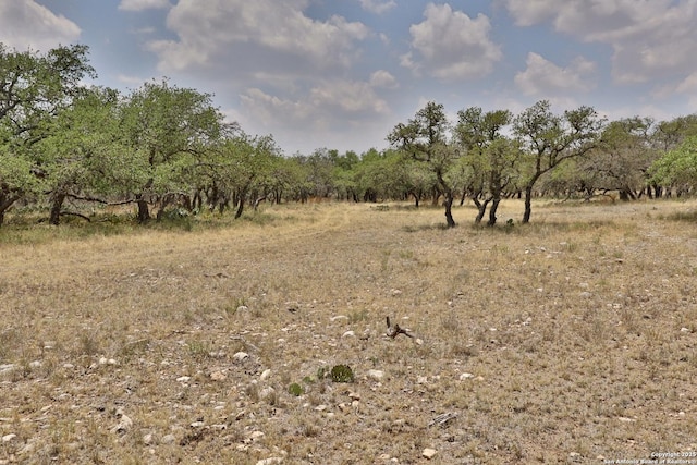 25 Dallas Josie Rd, Harper, TX 78631